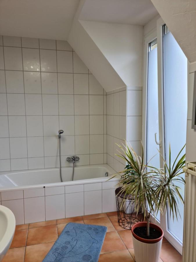 Ferienwohnung Lichtdurchflutetes Zimmer - Marienberg Waldbuttelbrunn Exterior foto